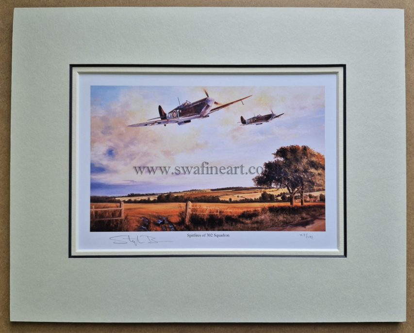 302 Sfs Supermarine Spitfire of 302 Sqn Spitfire Vbs of 302 Polish Sqn